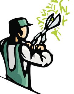 Pruning Services