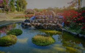 building water garden